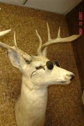 DEER CAMP 2007 006.jpg